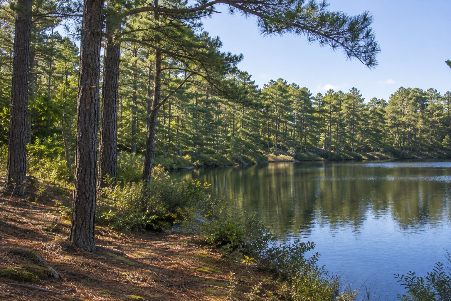 Mashpee